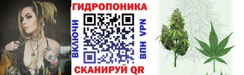Купить закладку Alpha-PVP  Псилоцибиновые грибы  ГАШ  Мефедрон  Рудня