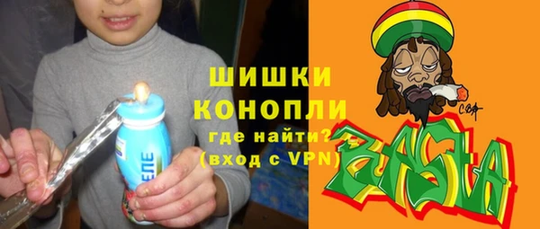 кокс Ельня