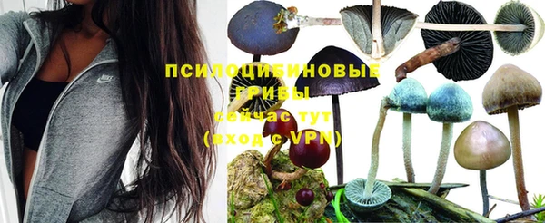 круглые Елизово