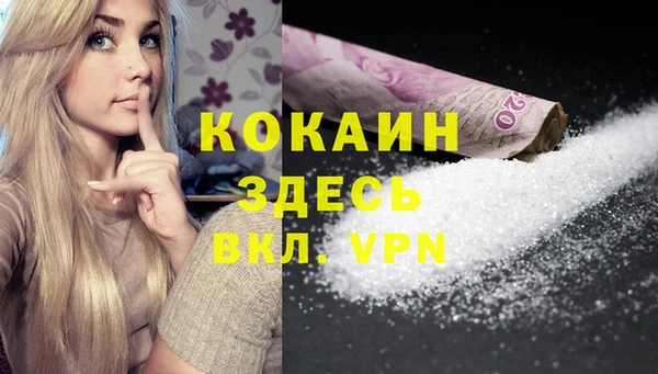 кокс Ельня