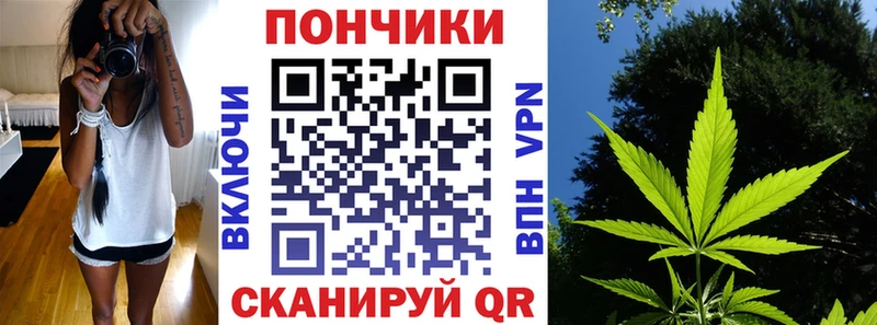 Бошки марихуана план Купить где Рудня